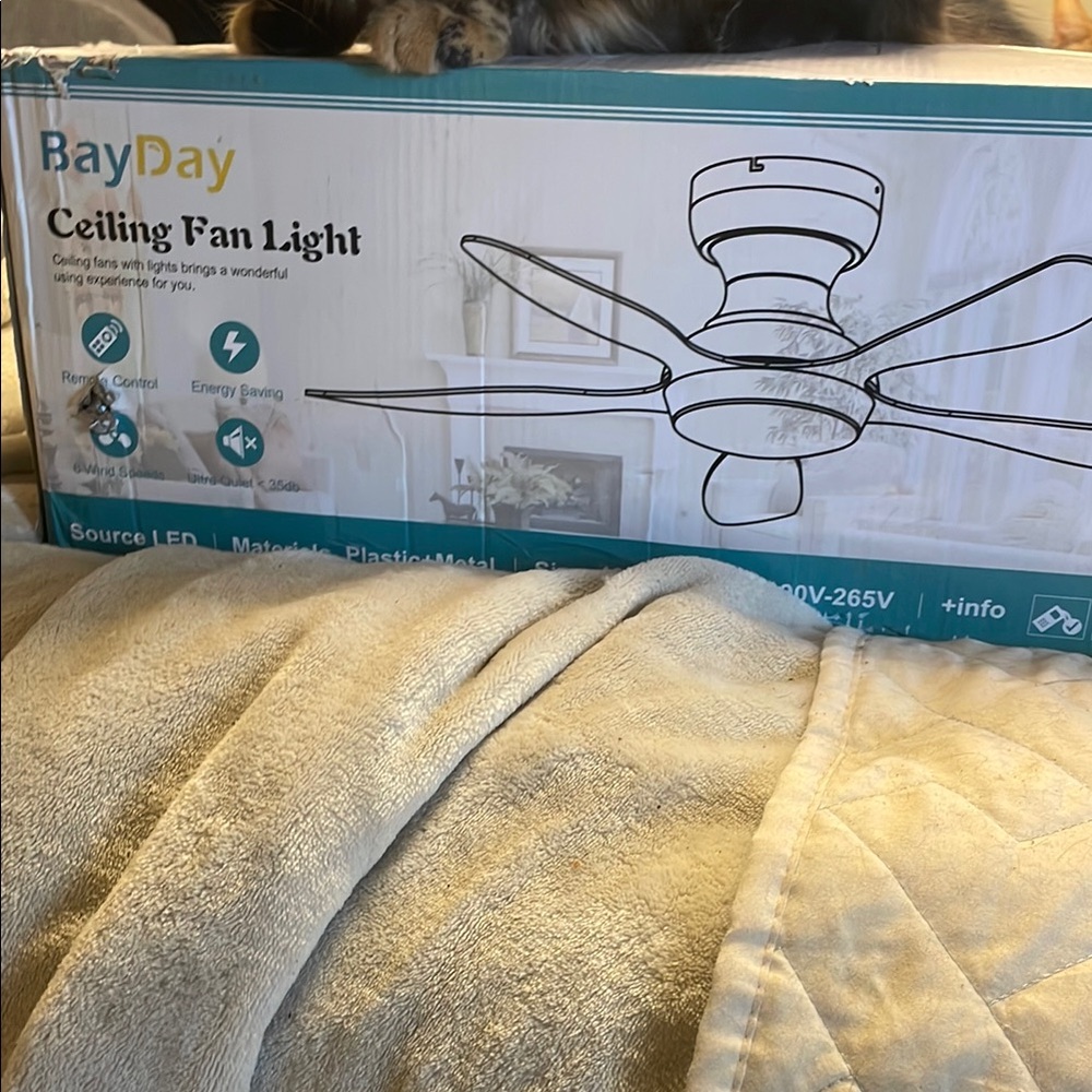 BayDay Ceiling Fan Light with Remote